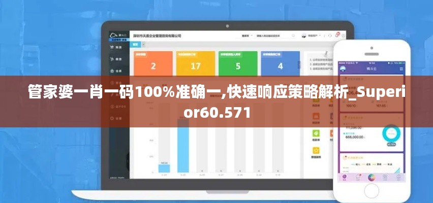 管家婆一肖一码100%准确一,快速响应策略解析_Superior60.571