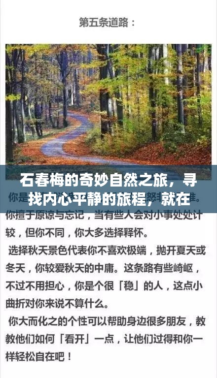 石春梅的奇妙自然之旅启程，寻找内心平静的旅程，启程日期2024年12月4日