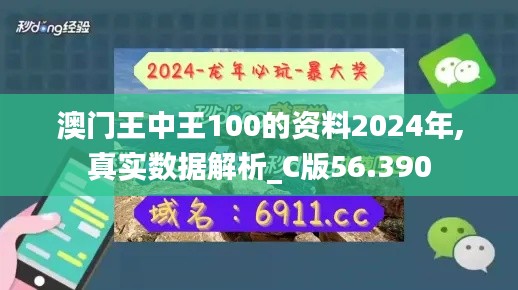 澳门王中王100的资料2024年,真实数据解析_C版56.390