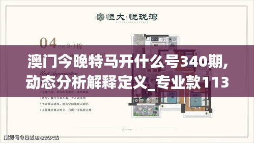 澳门今晚特马开什么号340期,动态分析解释定义_专业款113.447-4