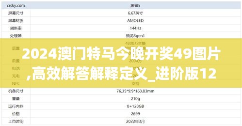2024澳门特马今晚开奖49图片,高效解答解释定义_进阶版129.550