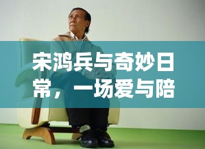 宋鸿兵与温馨日常，爱与陪伴的奇妙故事