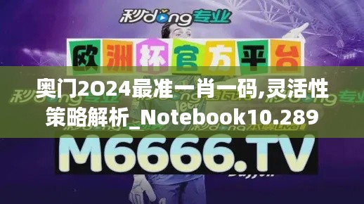 奥门2O24最准一肖一码,灵活性策略解析_Notebook10.289
