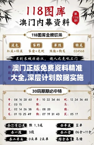澳门正版免费资料精准大全,深层计划数据实施_纪念版8.431