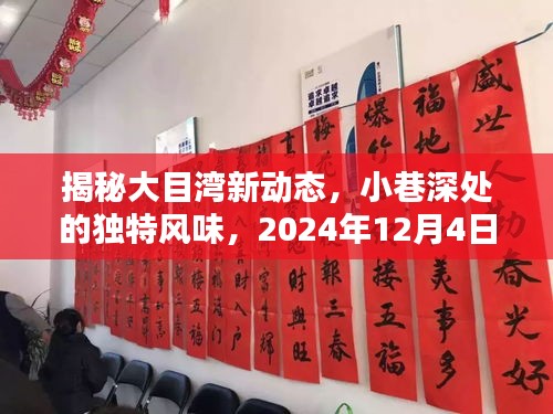 大目湾新动态揭秘，小巷深处的独特风味，2024年12月4日深度探索之旅