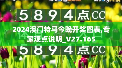 2024澳门特马今晚开奖图表,专家观点说明_V27.165