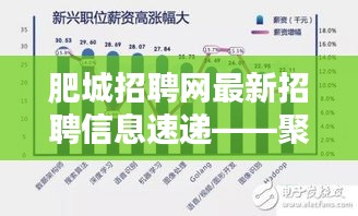 肥城招聘网最新招聘信息速递，聚焦行业前沿动态（2024年12月4日更新）