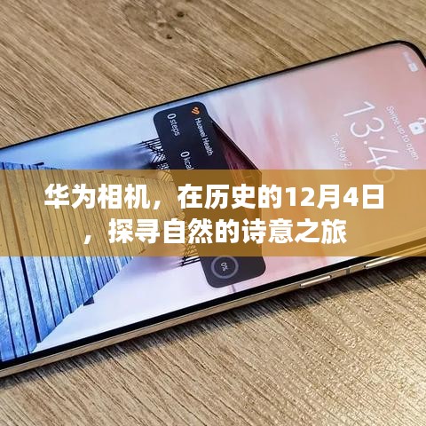 鸿飞雪爪 第4页