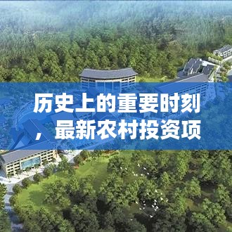 建议，以12月4日为契机，探究农村投资项目的崛起与影响，历史视角的洞察分析