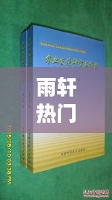 雨轩热门版回顾与探析，深度解析其魅力与内涵