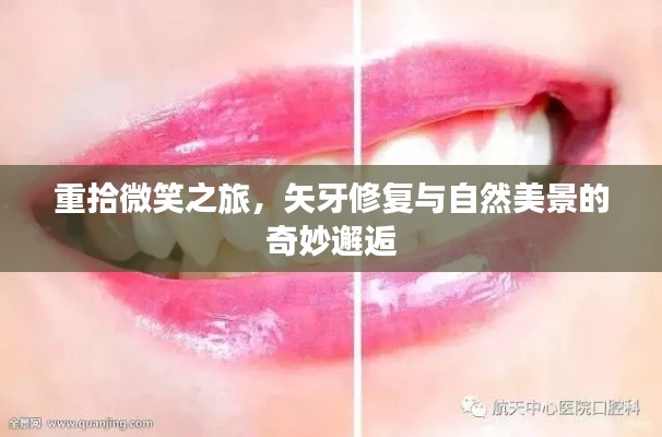 雍容雅步 第4页