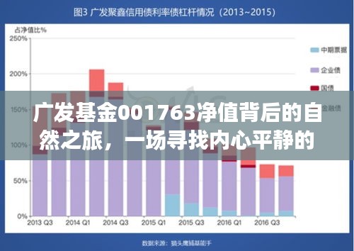 广发基金001763净值背后的自然之旅，探寻内心平静的探险之旅