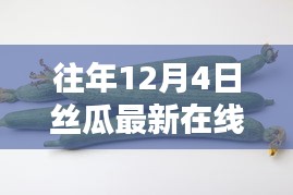 往年12月4日丝瓜在线产品评测，特性、体验、竞品对比及用户群体深度解析