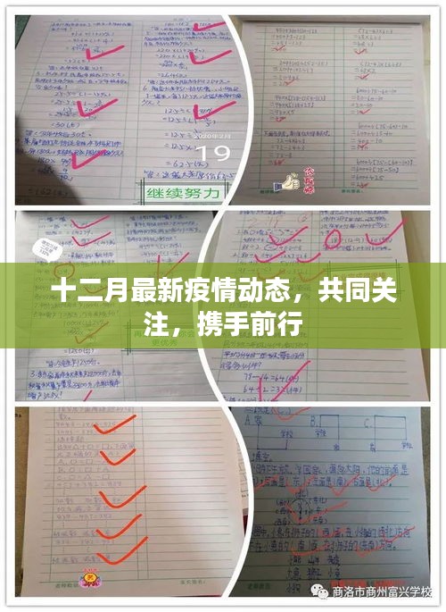 十二月疫情最新动态，共同关注，携手前行抗疫之路