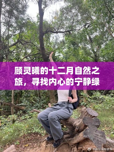 顾灵曦的十二月自然之旅，探寻内心宁静绿洲