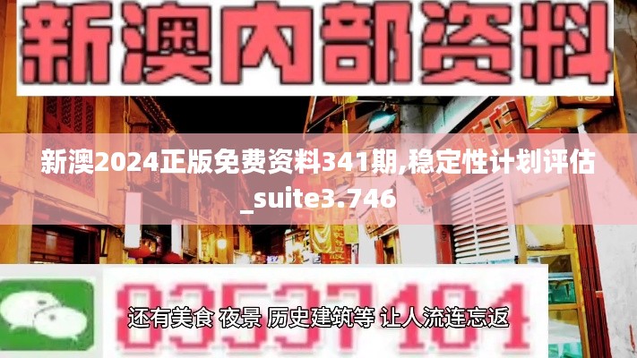 新澳2024正版免费资料341期,稳定性计划评估_suite3.746