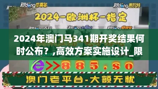 2024年澳门马341期开奖结果何时公布？,高效方案实施设计_限量款5.494