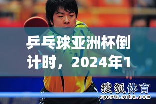 乒乓球亚洲杯倒计时，球桌上的温情邂逅（2024年12月4日）