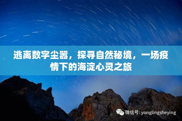疫情下的海淀心灵之旅，逃离数字尘嚣，探寻自然秘境