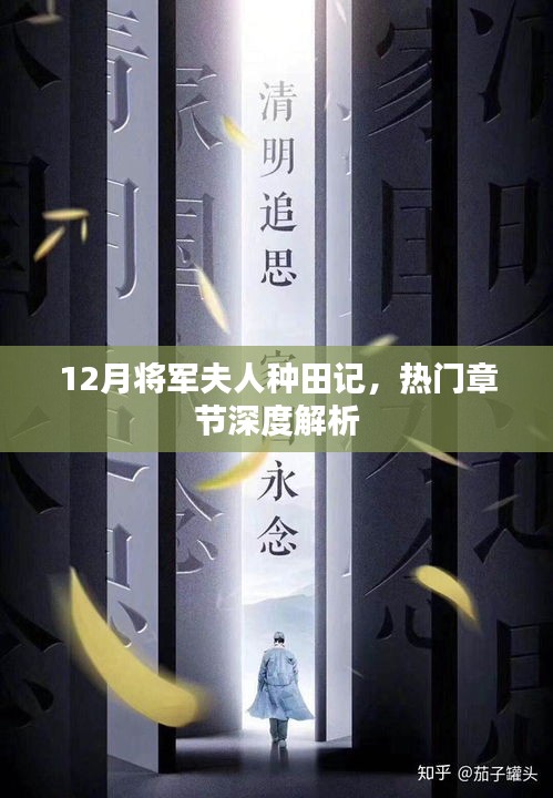 12月将军夫人种田记热门章节深度解读