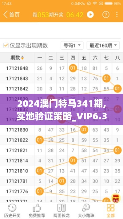 2024澳门特马341期,实地验证策略_VIP6.392
