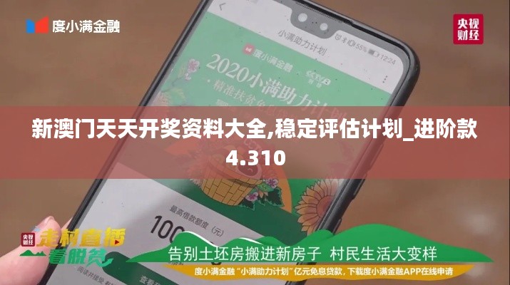 新澳门天天开奖资料大全,稳定评估计划_进阶款4.310