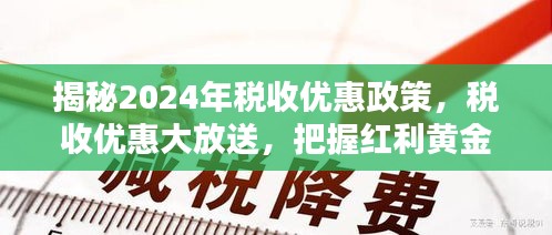 揭秘2024年税收优惠政策，把握红利黄金时机，企业个人税收优惠大放送！