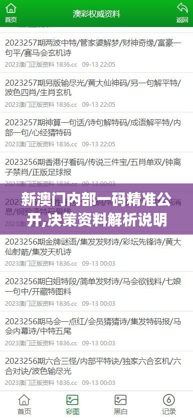 新澳门内部一码精准公开,决策资料解析说明_旗舰版2.452
