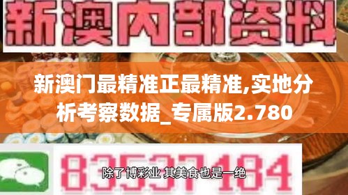 新澳门最精准正最精准,实地分析考察数据_专属版2.780