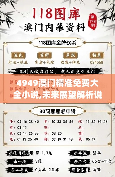 4949澳门精准免费大全小说,未来展望解析说明_P版9.150