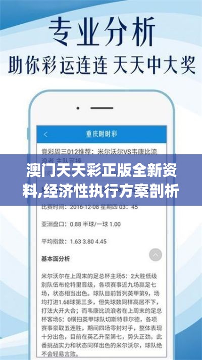 澳门天天彩正版全新资料,经济性执行方案剖析_XP9.241