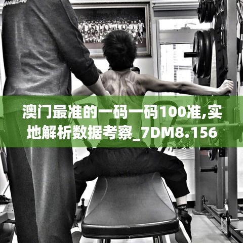 澳门最准的一码一码100准,实地解析数据考察_7DM8.156