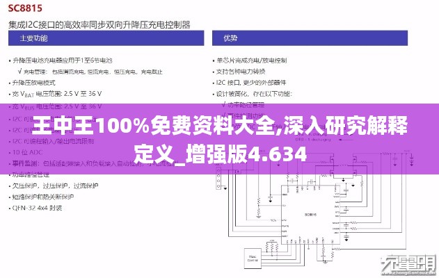 王中王100%免费资料大全,深入研究解释定义_增强版4.634