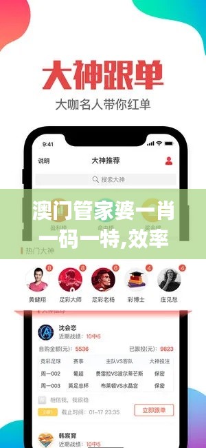 澳门管家婆一肖一码一特,效率资料解释定义_Holo8.726