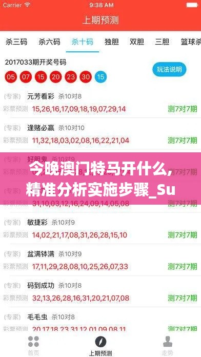今晚澳门特马开什么,精准分析实施步骤_Surface10.495