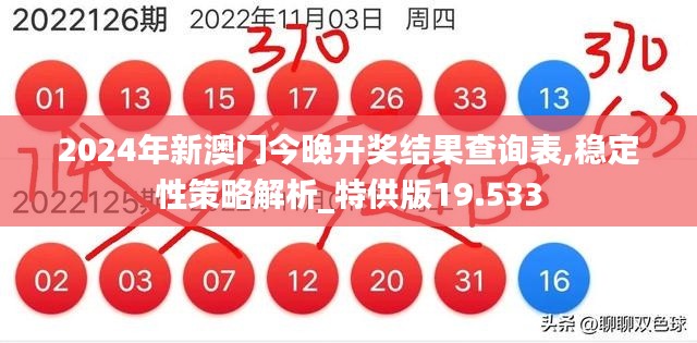 2024年新澳门今晚开奖结果查询表,稳定性策略解析_特供版19.533