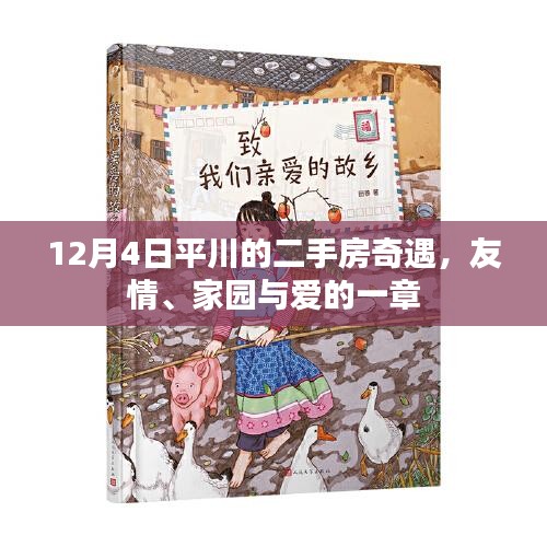12月4日平川的二手房奇遇，友情、家园与爱的交织故事