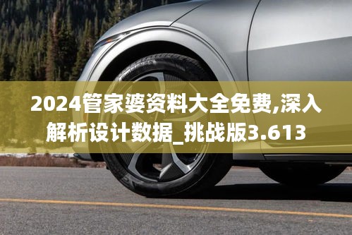 2024管家婆资料大全免费,深入解析设计数据_挑战版3.613