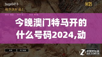 今晚澳门特马开的什么号码2024,动态调整策略执行_1080p5.685