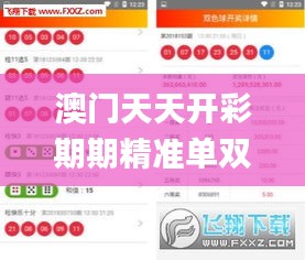 澳门天天开彩期期精准单双,定制化执行方案分析_粉丝版4.713