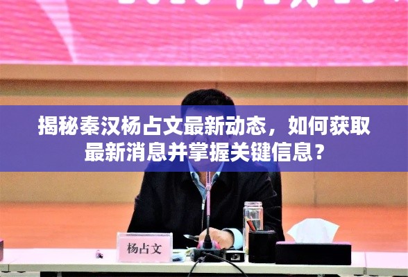 揭秘秦汉杨占文最新动态，掌握最新消息的关键信息全攻略