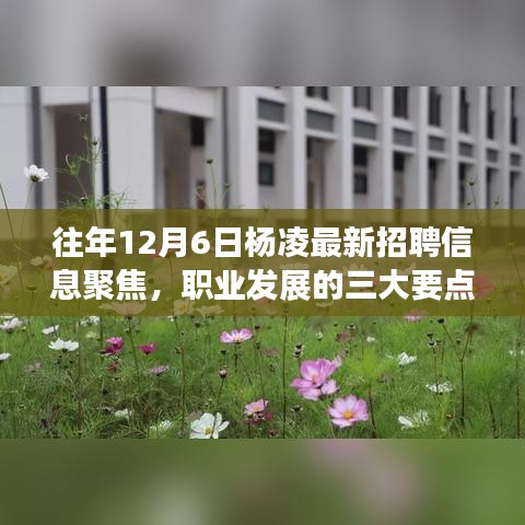 群雌粥粥 第3页
