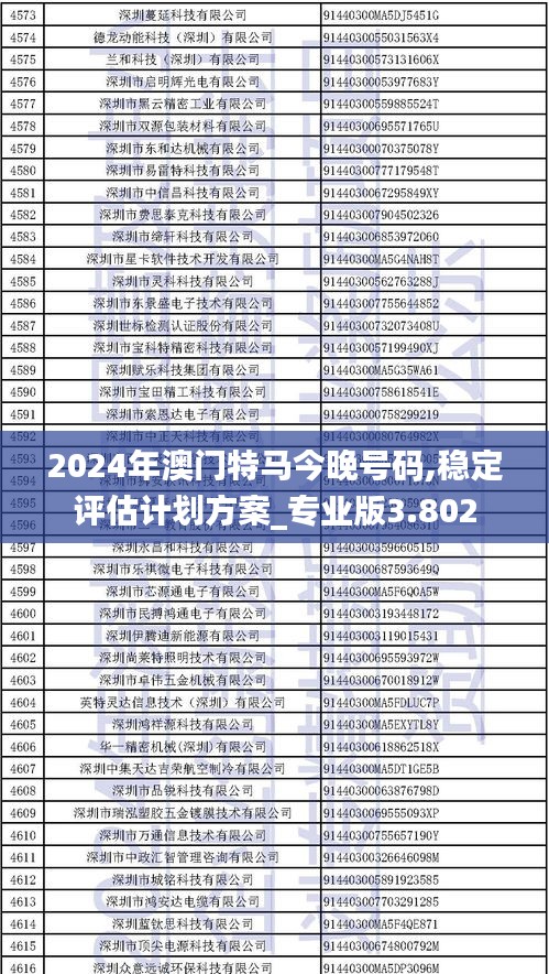 2024年澳门特马今晚号码,稳定评估计划方案_专业版3.802