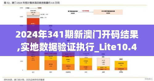 2024年341期新澳门开码结果,实地数据验证执行_Lite10.449