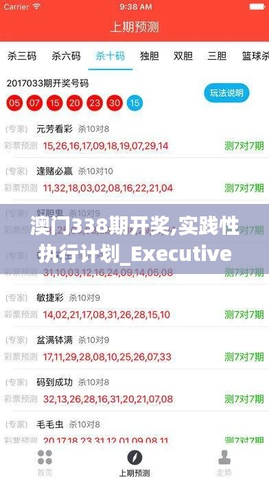 澳门338期开奖,实践性执行计划_Executive12.544