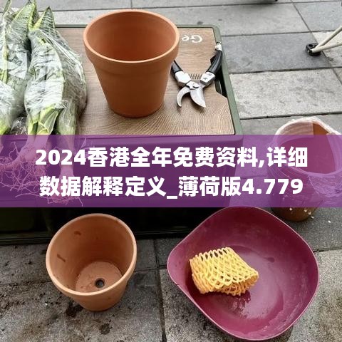 2024香港全年免费资料,详细数据解释定义_薄荷版4.779