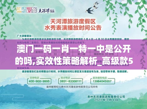 澳门一码一肖一特一中是公开的吗,实效性策略解析_高级款5.901