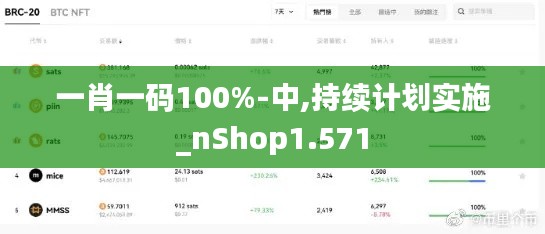 一肖一码100%-中,持续计划实施_nShop1.571