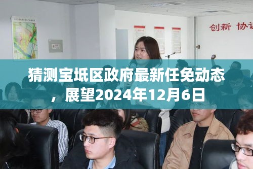 宝坻区政府未来任命展望，猜测与期待至2024年12月6日