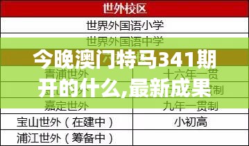 今晚澳门特马341期开的什么,最新成果解析说明_X版5.516